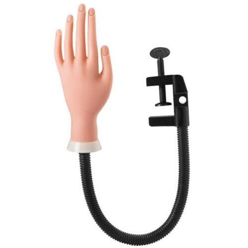 POLLIE - MANO PARA PRACTICAS 